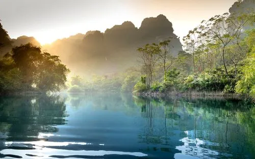 高效高效科技